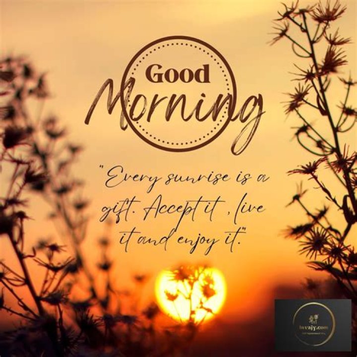 Angry Sex Good Morning: The Unexpected Benefits of Passionate Morning Encounters