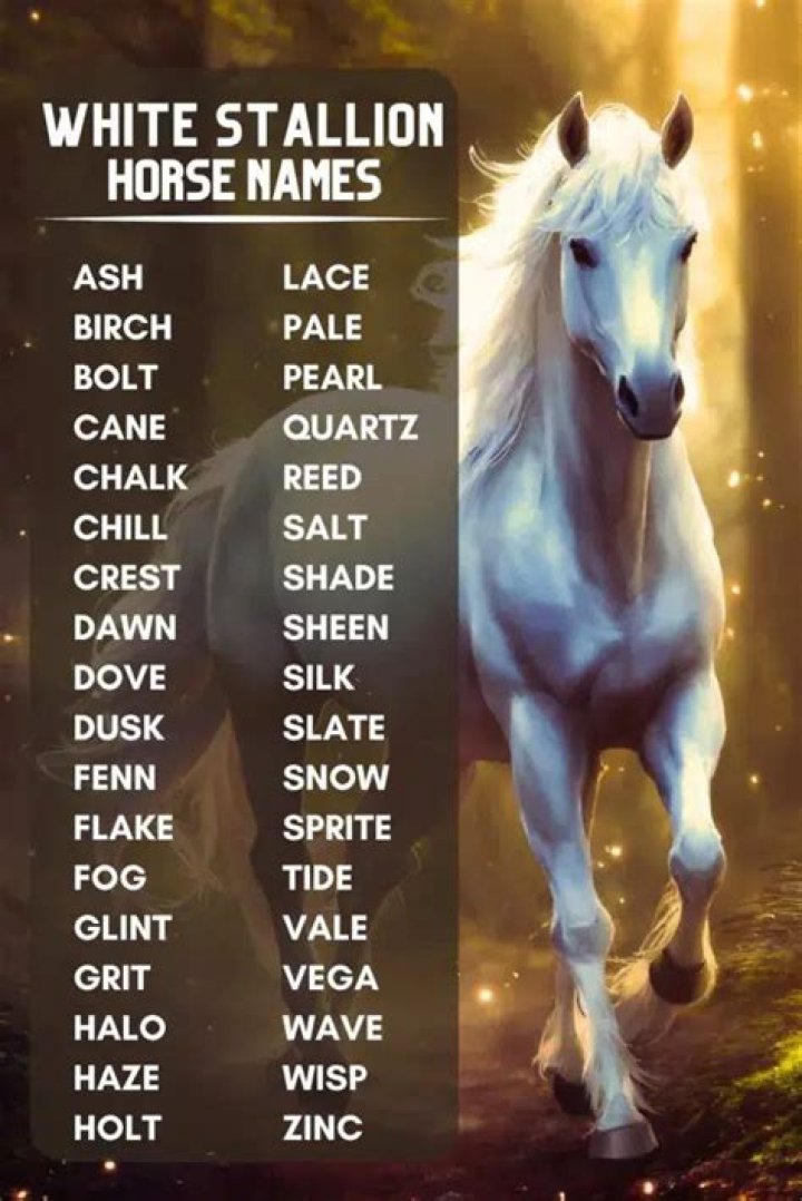 Creative Names for Horses that are White: A Comprehensive Guide