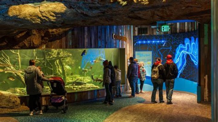 Discover the Wonders and Beauty of the St. Louis Aquarium
