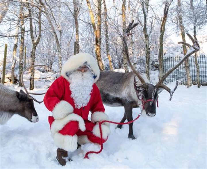 How Many Reindeer Does Santa Have? A Comprehensive Guide