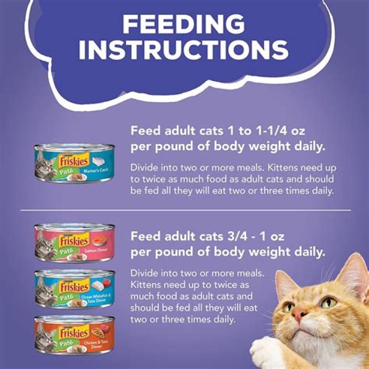 Recommended Canned Cat Food: A Comprehensive Guide for Your Feline Friend