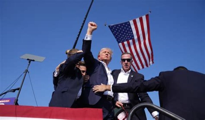 Trump Shoy: The Rise and Influence of a Cultural Phenomenon