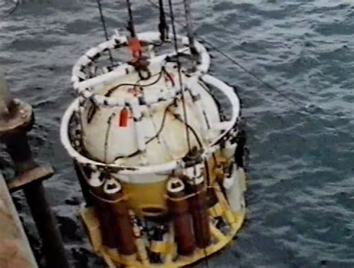 Understanding the Bi4 Dolphin Incident: A Deep Dive into the Controversy
